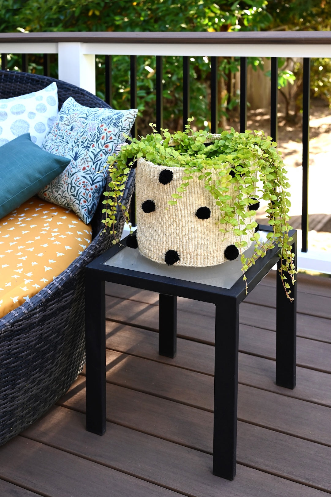 Natural Sisal Bin with Black Pom Poms