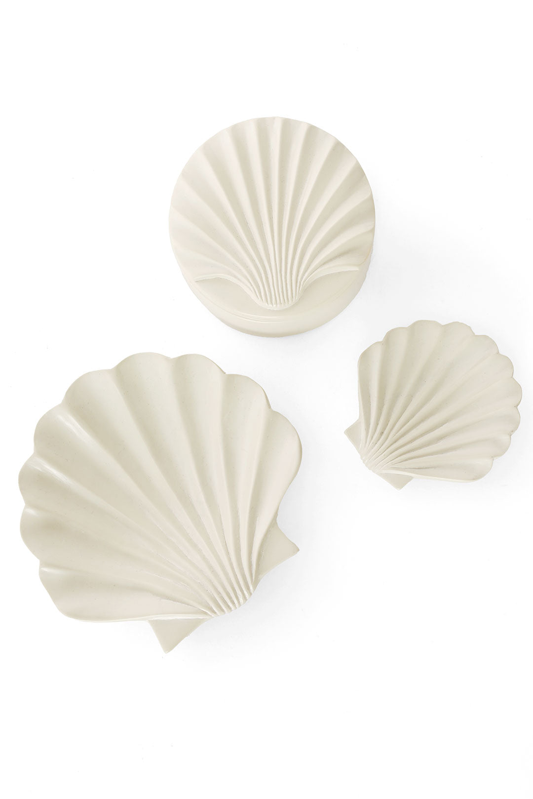 All Natural Soapstone Scallop Shell Storage Box
