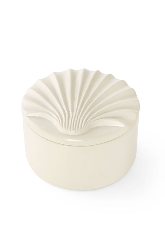 All Natural Soapstone Scallop Shell Storage Box