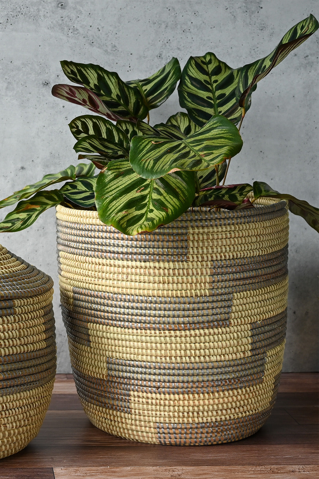 Silver & Cream Stairstep Bath Bin Basket