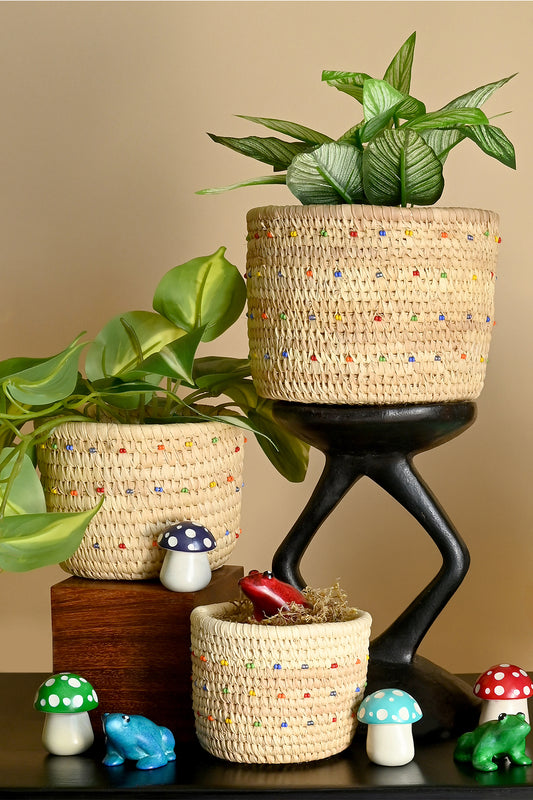 Samburu Camel Milking Baskets with Rainbow Beaded Dots