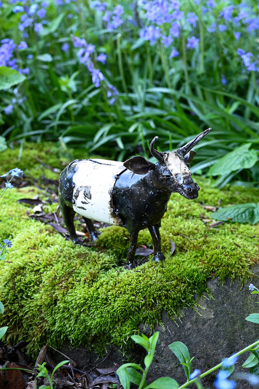 Recycled Oil Drum Milk Cow Sculptures