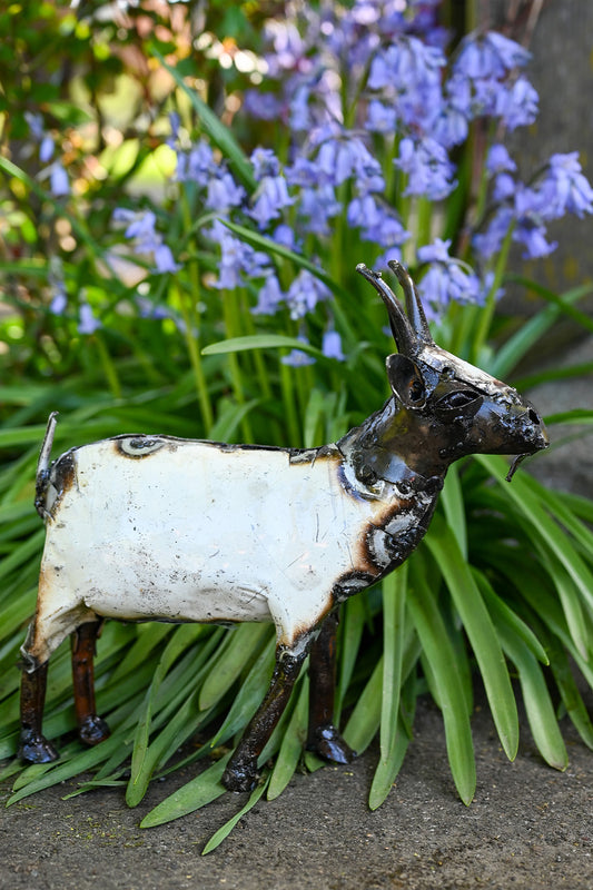 Who's Got Your Goat? Oil Drum Sculptures