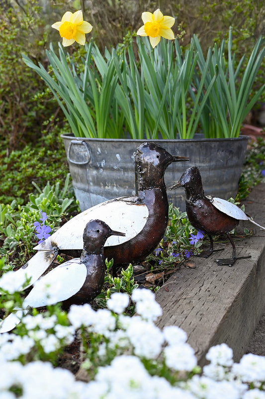 Recycled Metal Duck Sculptures