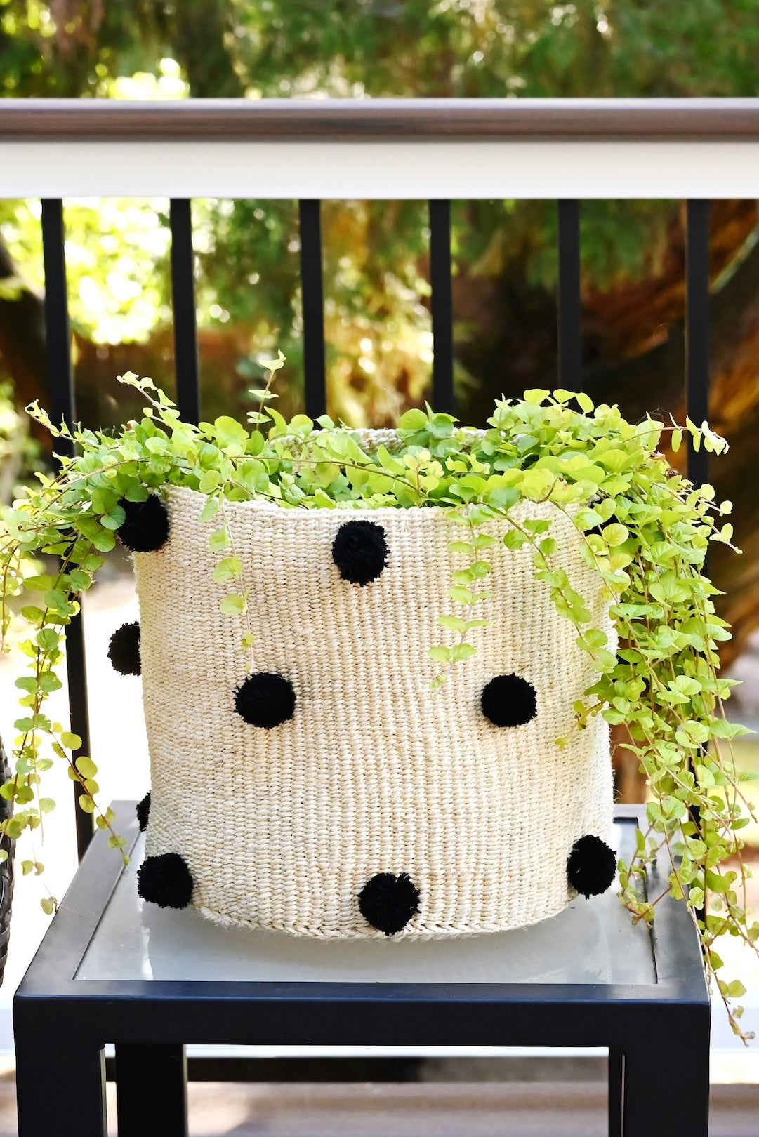 Natural Sisal Bin with Black Pom Poms