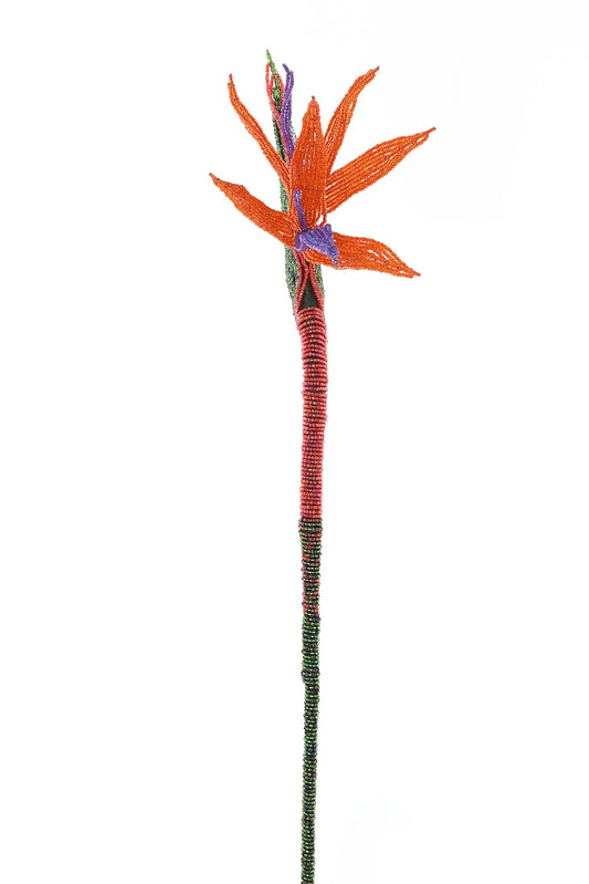 Everlasting Beaded Bird of Paradise Stem