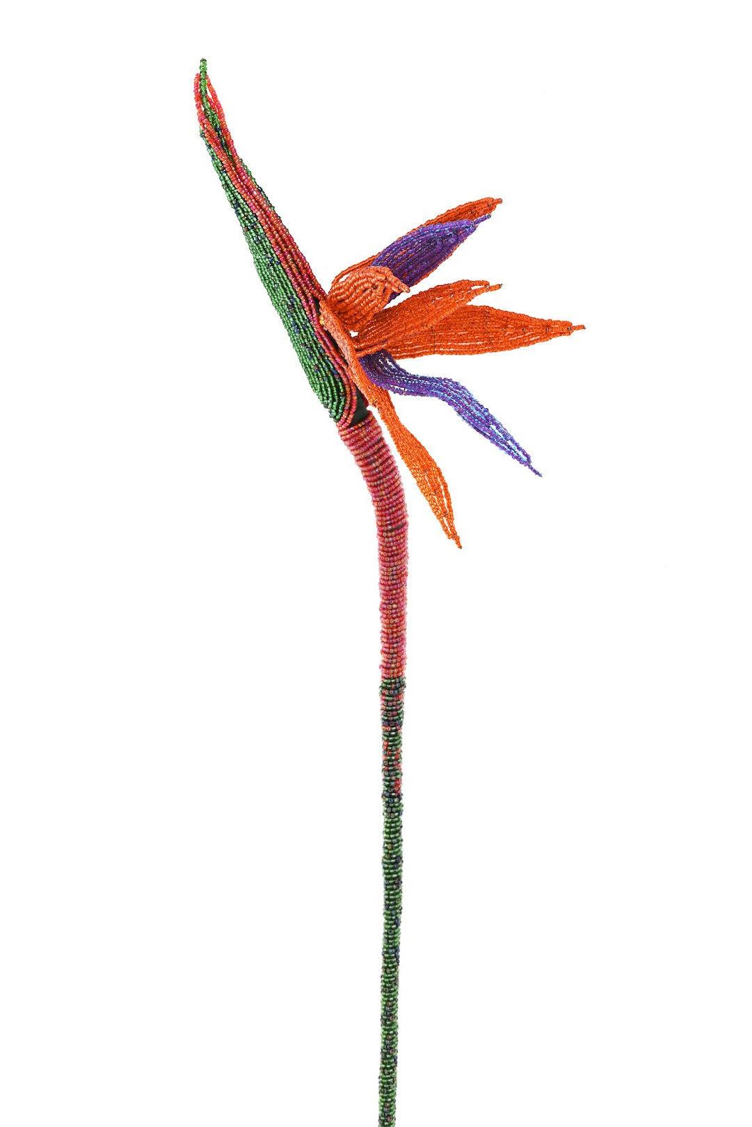 Everlasting Beaded Bird of Paradise Stem