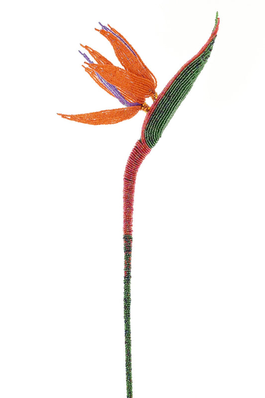 Everlasting Beaded Bird of Paradise Stem