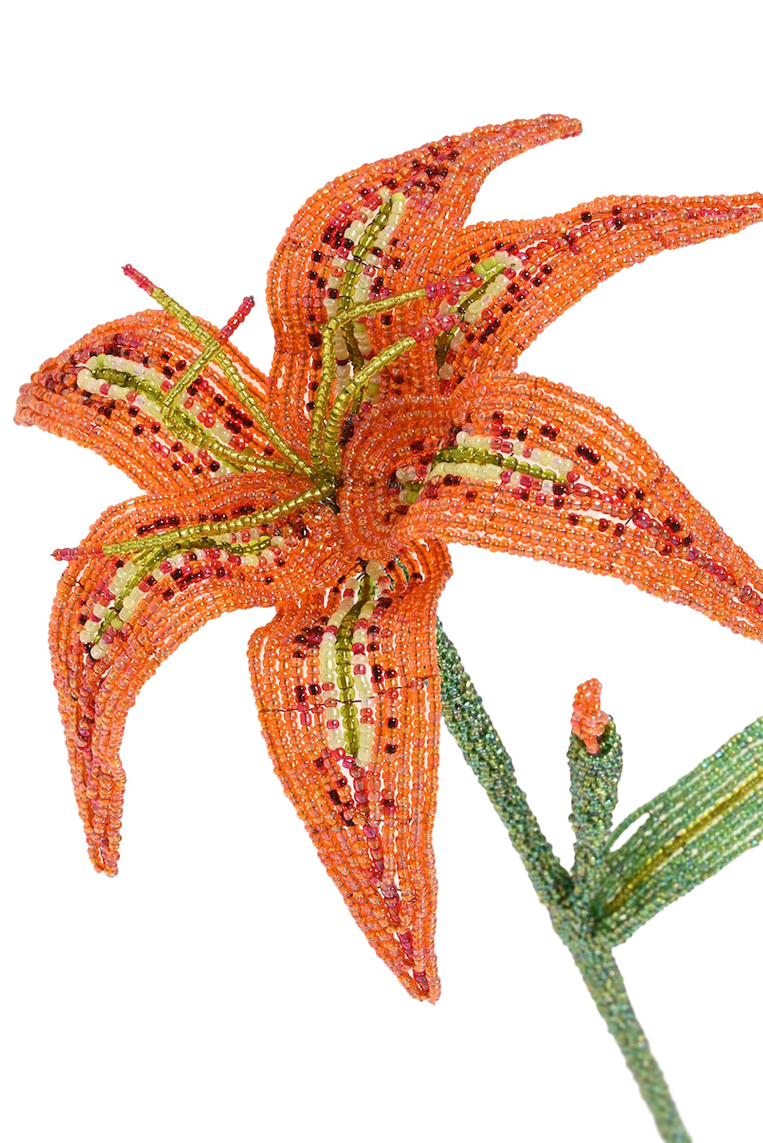 Everlasting Beaded Daylily Stem