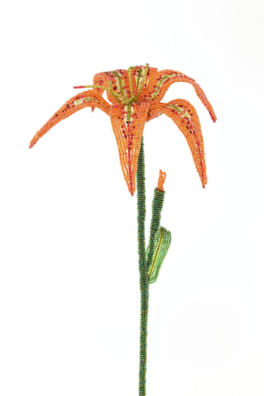 Everlasting Beaded Daylily Stem