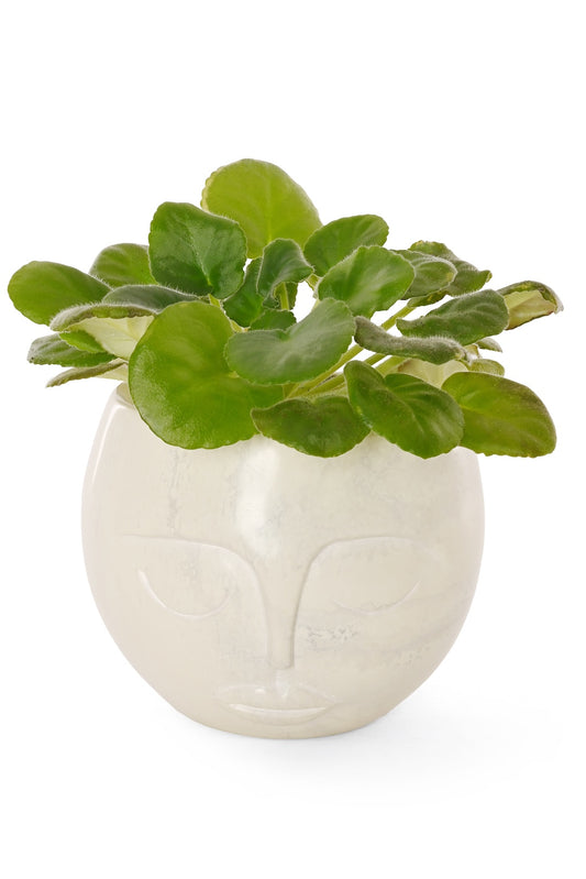 Hand Carved Natural Soapstone Muse Vessel