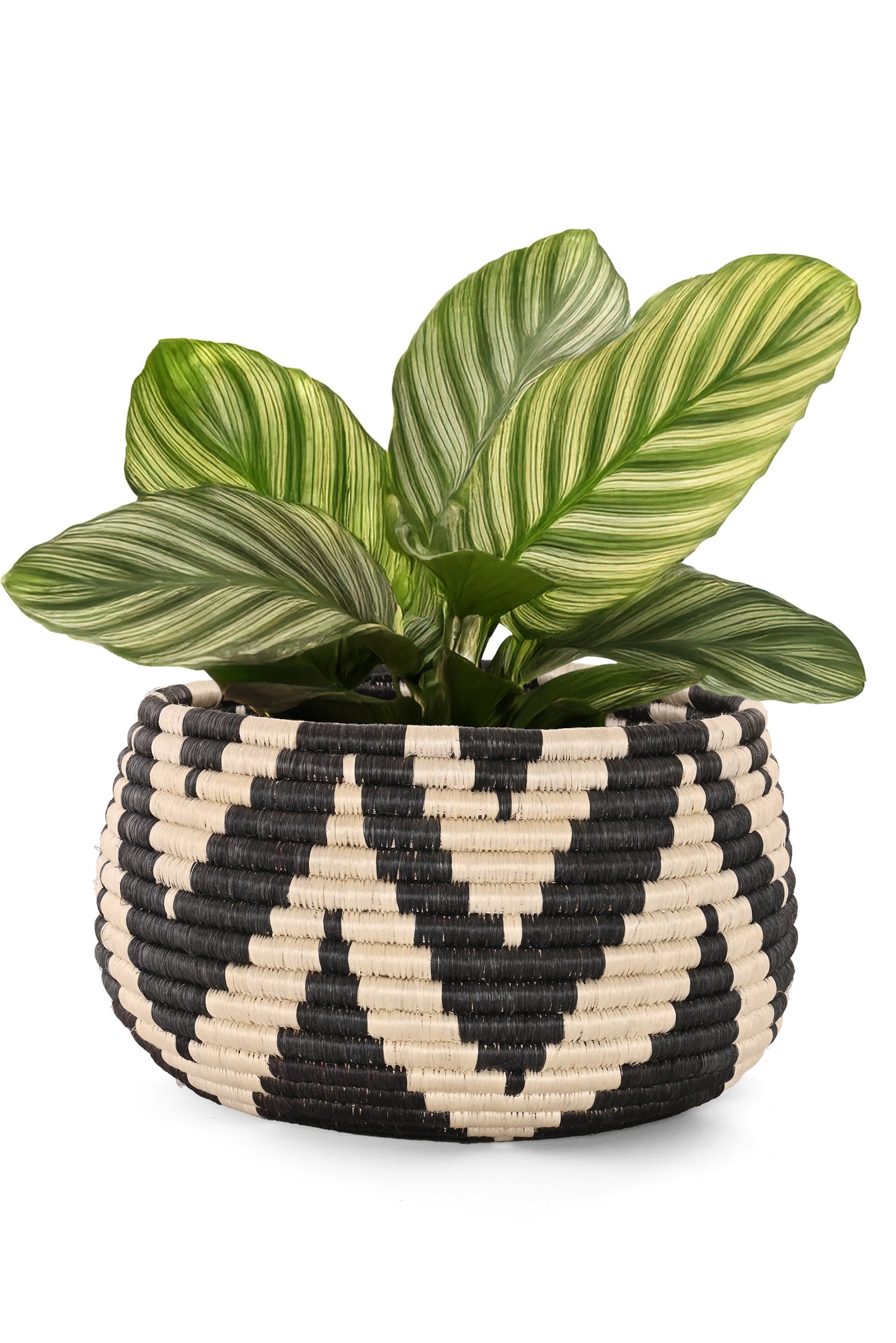Rwandan Black and White ZigZag Basket Set