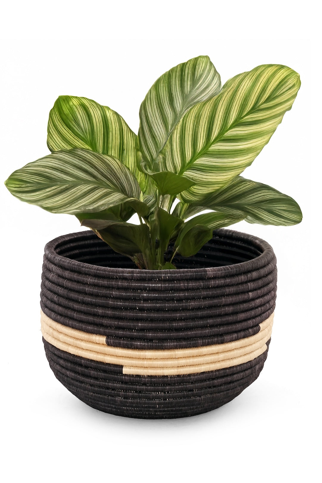 Rwandan Black and Cream Stripe Basket