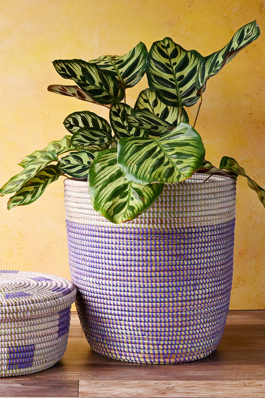 Lavender & Purple Bath Bin Basket