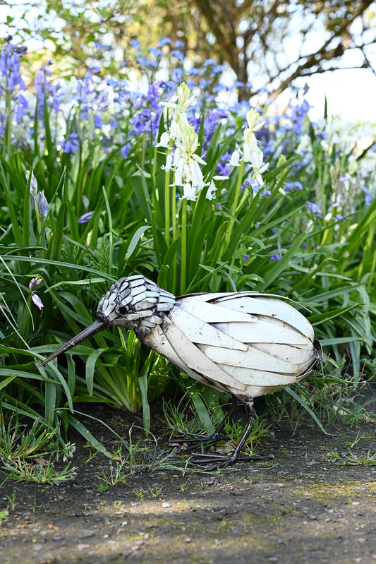 Kiwi Bird Recycled Metal Sculpture