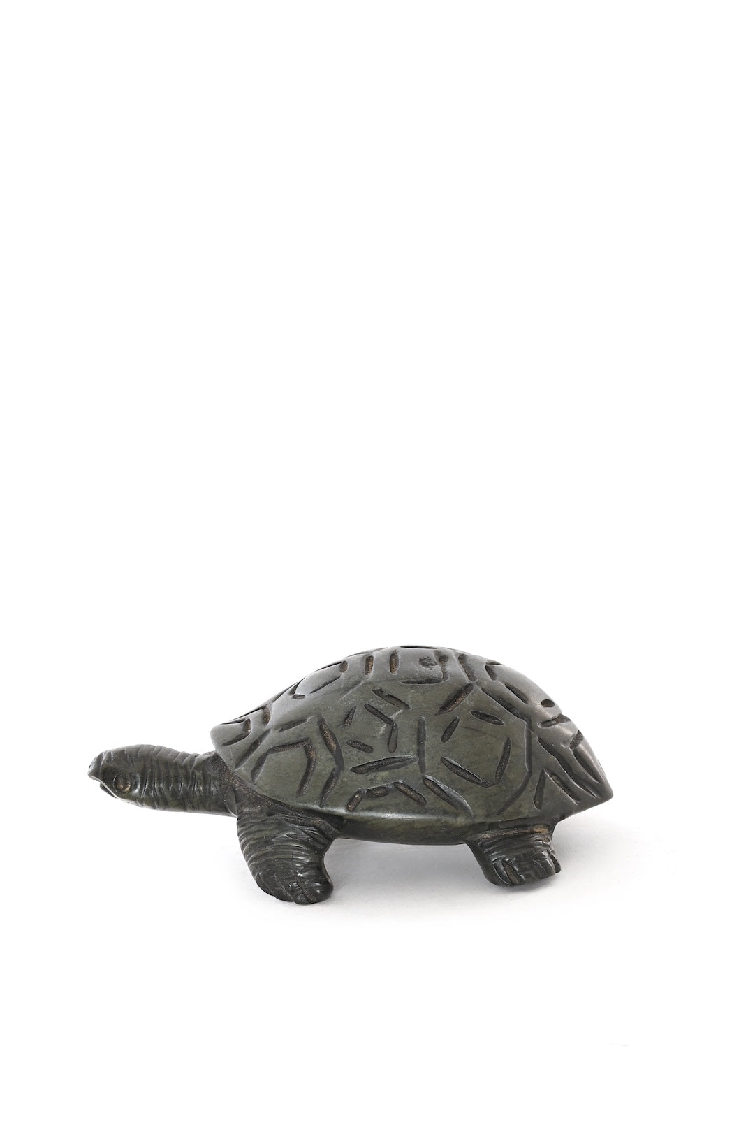 Wise Wanderer Turtle Sculpture - One of a Kind