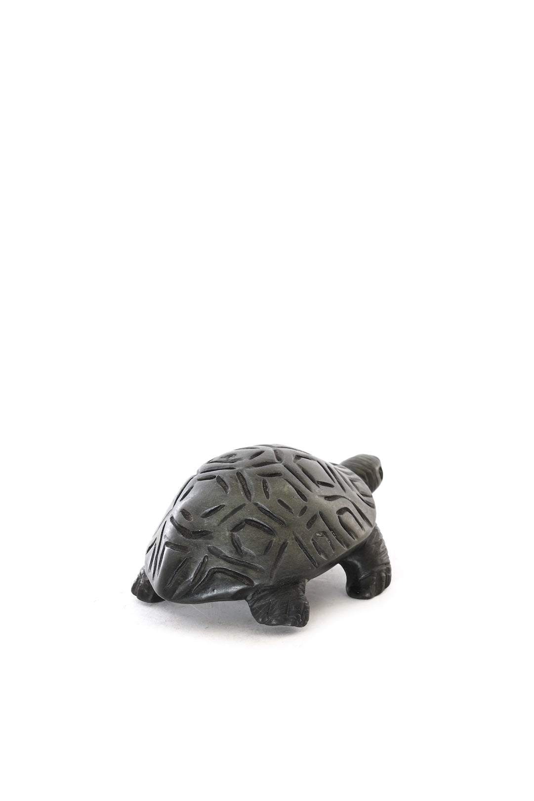 Wise Wanderer Turtle Sculpture - One of a Kind