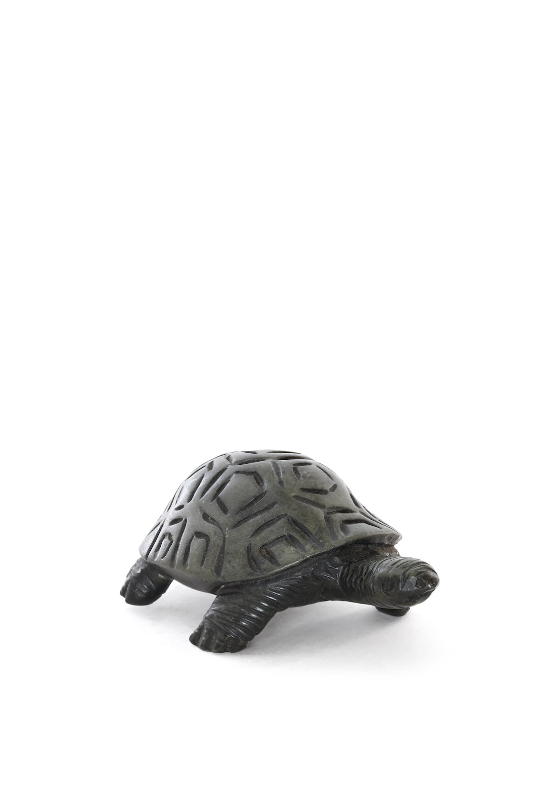 Wise Wanderer Turtle Sculpture - One of a Kind
