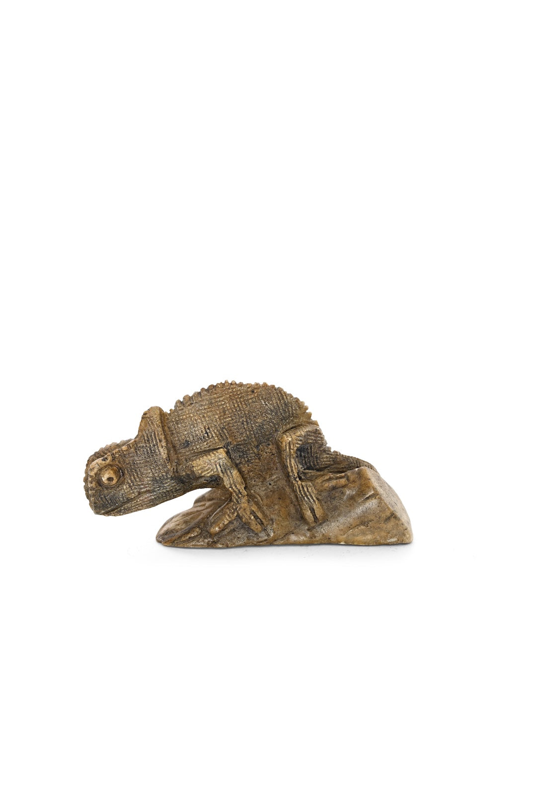 Tiny Chameleon Stone Sculpture - One of a Kind