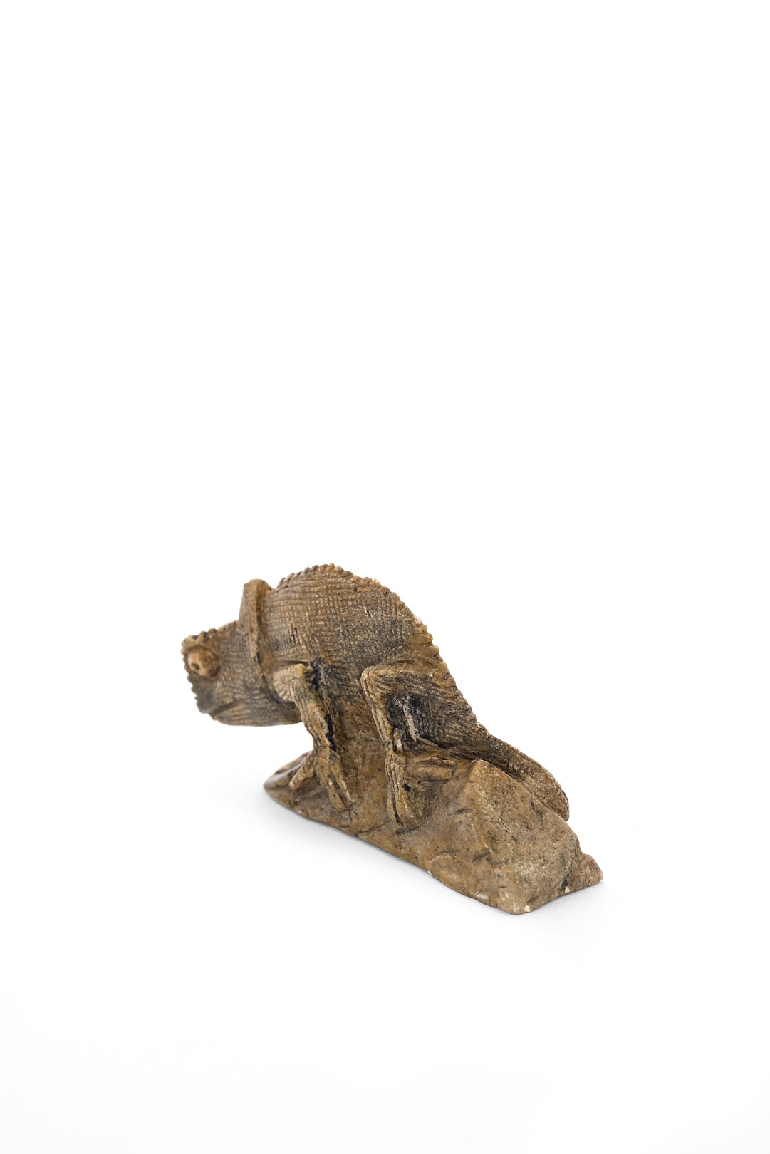Tiny Chameleon Stone Sculpture - One of a Kind