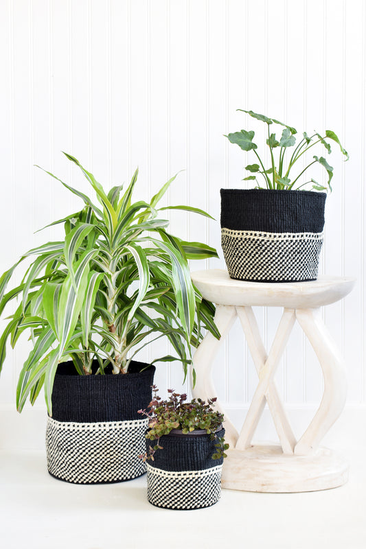 Set of 3 Mwende Sisal Storage Bins